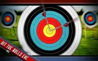 3 डी तीरंदाजी - शूटिंग खेल विशेषज्ञ Screen Shot 8
