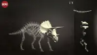 3Dino - The world of dinosaurs Screen Shot 2