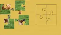 Puzzles Safari Animals Screen Shot 2