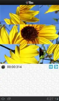 Quebra cabeças Flores – MPW Screen Shot 19