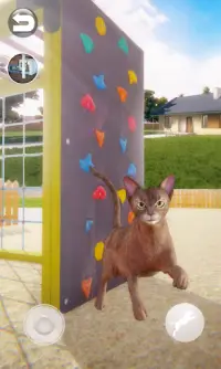 Talking Abyssinian Cat Screen Shot 2