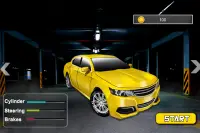 Realistic Car Parking Screen Shot 1