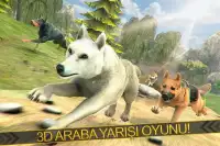 Kurt Klan! Vahşi Hayvanlar Sim Screen Shot 0