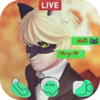 Fake Live Chat & Call Video : Cat Ladybug Noir
