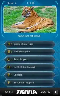 Name that Cat Breed Trivia Screen Shot 3