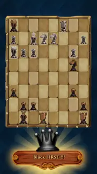 Schaken - Chess for Beginners Screen Shot 4
