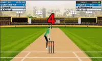 T20 World Cup 2016 Cricket 3D Screen Shot 4