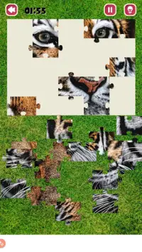 Jigsaw Puzzle Game Screen Shot 3
