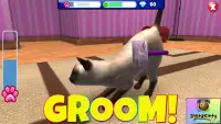 InstaKitty 3D-Virtual Cat Sim Screen Shot 3