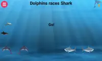 Dolphins races Sharks Screen Shot 3
