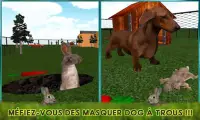 Pet Lapin vs chien attaque 3D Screen Shot 0