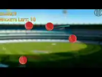 Hit Cricket HD- Mobile Finger League Screen Shot 0