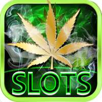 Lucky Weed – Free slots