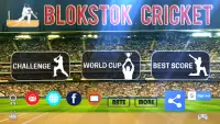 Blokstok Cricket Screen Shot 0