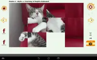 Cazzle - Sleeping Cat Puzzles Screen Shot 16