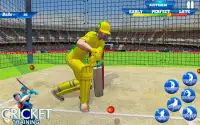 T20 クリケット トレーニング： ネット 練習 クリケット ゲーム Screen Shot 3