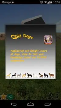 Quiz dogs Screen Shot 3