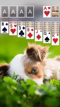 Solitaire 🐶 Screen Shot 0