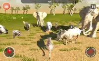 Leopard Game 3D - Симулятор для животных Safari Screen Shot 18