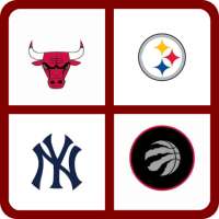 Guess the Sports Team
