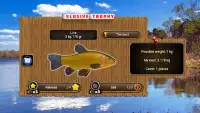 Fish rain: sport fishing Screen Shot 4
