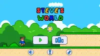 Steve's World - Adventure Screen Shot 2