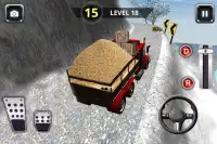 3D Offroad Truck Simulator : Monster Truck Driver Screen Shot 2
