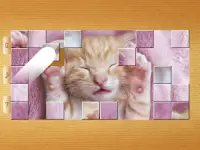 बिल्ली पहेलियाँ Screen Shot 15