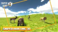 Sniper Shooter Deer Hunting 3D Screen Shot 2