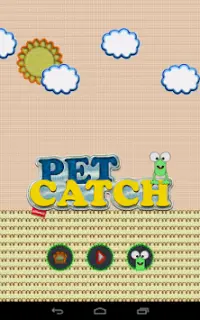 Pet Catch Screen Shot 6