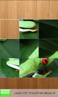 Frogs Jigsaw Puzzles Screen Shot 0