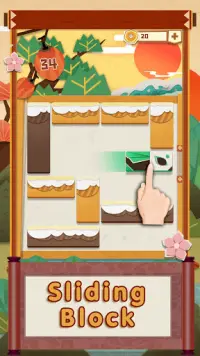 Unblock Bird - Puzzle Sliding Block Games Screen Shot 1