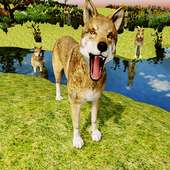 Wolf hunting games:3d free shooting game