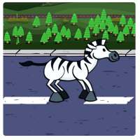 Runaway Zebra