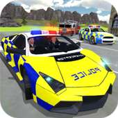 Police Car Crime Driving