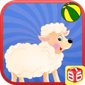 Jordan Farm Sheep