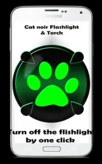 Miraculous Flashlight and torch Cat noir Screen Shot 1