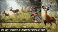 Deer Hunter 2021: Real Sniper Hunting games 2021 Screen Shot 0