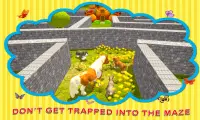 Amazing Pets Maze Simulator Screen Shot 2