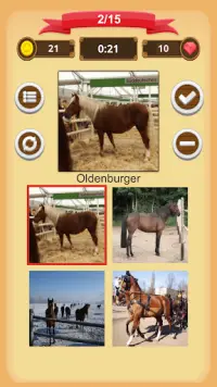 Paarden - Quiz Screen Shot 3