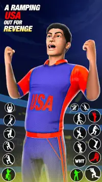 Bat & Ball: Play Cricket Games Screen Shot 5