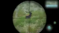 Deer Hunter Screen Shot 4