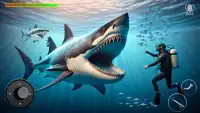 Angry Shark Attack Game Screen Shot 0
