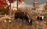 Angry Bull Attack Wild Sim 3d Screen Shot 2