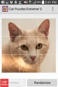 Cat Puzzles Extreme! 2 Screen Shot 1