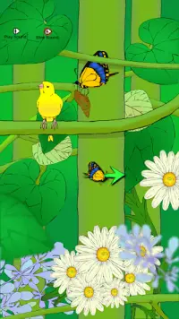 Grow A Butterfly Screen Shot 5