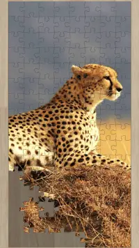 Safari Jigsaw Puzzles - Wildlife Jigsaws Screen Shot 3