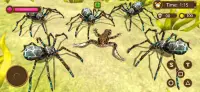 독거미 거미 생활 거미 시뮬레이터 게임 2021 Screen Shot 1