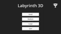 Labyrinth 3D Screen Shot 0