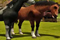 Horse Simulator Game 3D 2016 Screen Shot 0